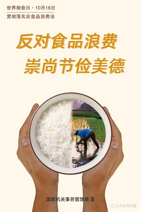 公共机构反食品浪费宣传海报_福州档案信息网