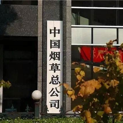 中国烟草总公司重庆市公司2021年员工招聘公告|面试|重庆市_新浪新闻