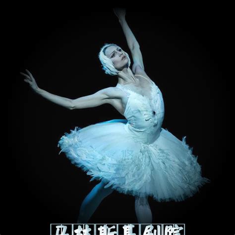 2023俄罗斯莫斯科国立芭蕾舞团经典芭蕾舞剧《天鹅湖》天津站+时间票价-看看票务