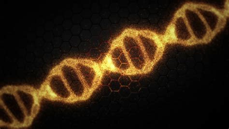 细胞遗传生物细胞3D动画 螺旋 细胞遗传 病毒 干细胞 细胞核 研究 分裂 进化生物 技术细菌 人类细胞 微生物 生物细胞 DNA 病毒 微 ...