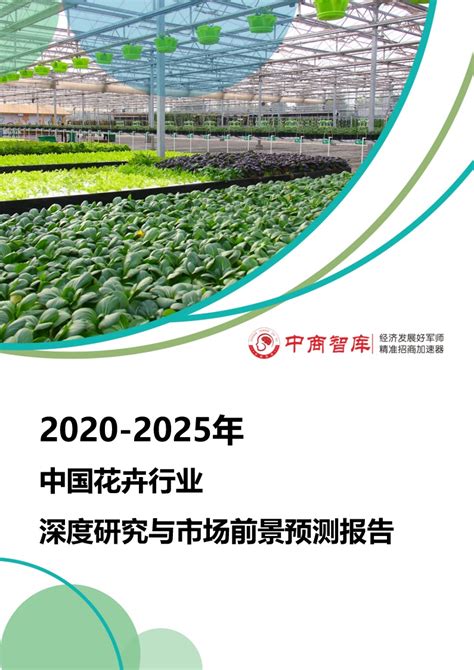 2020—2025年中国花卉行业深度研究与市场前景预测报告