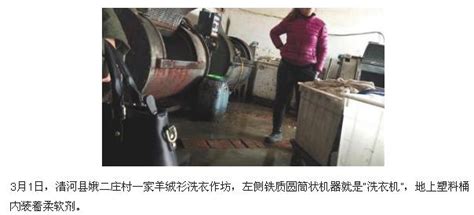 一个产业“链”出一个集群——看邢台市南和区如何做大做强宠物产业_河北日报客户端
