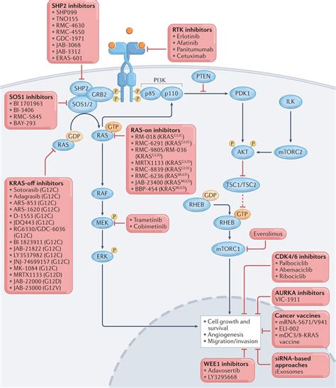 科学网—Cancer Discovery | 剪切因子SRSF1胰腺炎及KRAS突变导致的胰腺癌 - 陈建雄的博文