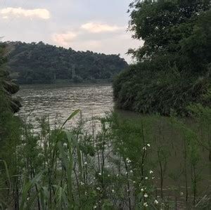 横岗水库_横岗水库钓鱼攻略_横岗水库可以钓鱼吗 - 钓鱼之家