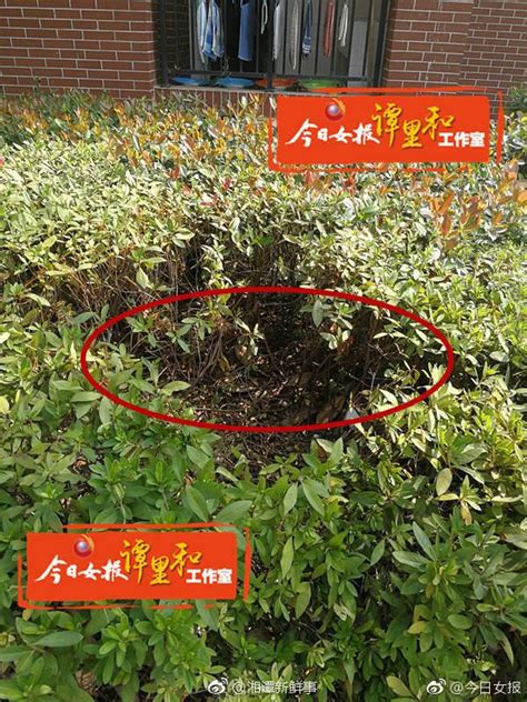 湘潭一大学新生跳楼坠亡 留下遗书称17岁像活了一世纪