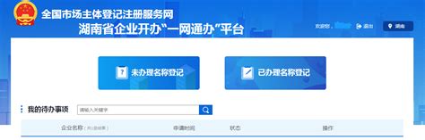企业开办"一网通办"平台操作指引-衡山县人民政府门户网站