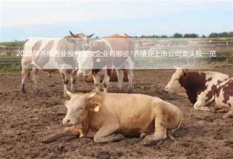 温氏股份肉猪销售月入40亿元，中国生猪养殖行业前景如何？__财经头条