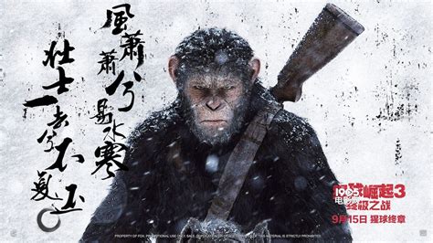 《猩球崛起3：终极之战》电影海报设计|平面|海报|柯南吃汤圆儿 - 原创作品 - 站酷 (ZCOOL)