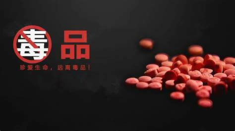 河北邯郸市首个禁毒主题公园建成开放_智慧普法平台