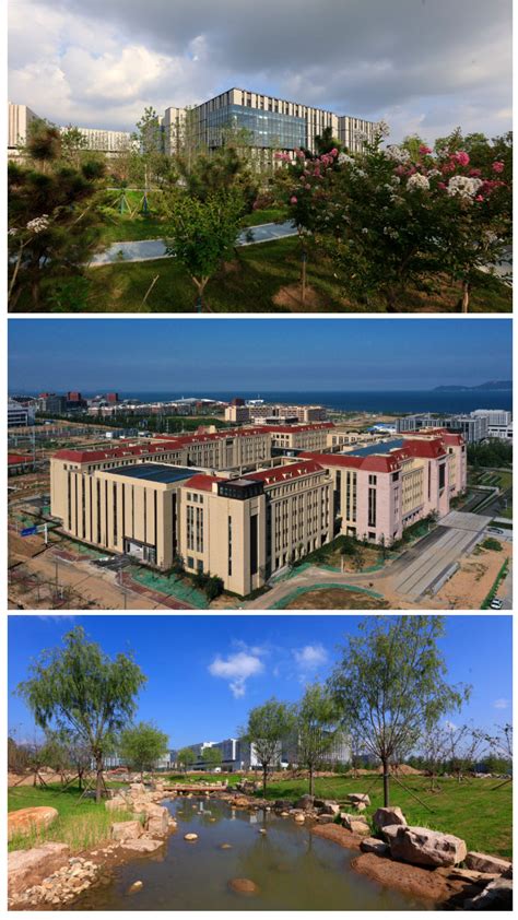 中国海洋大学为何被戏称为“每羊大学”？背后有故事-搜狐大视野-搜狐新闻