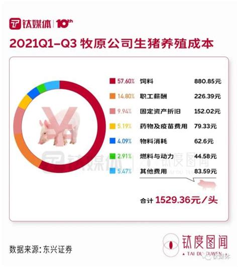 农业部专家组分析研判猪价上涨原因和后期趋势 | 中国动物保健·官网