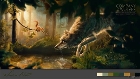 森林里的狼和狐狸以及小动物温馨插画 [26P]