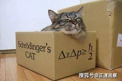 薛定谔的猫被推翻了吗？耶鲁大学科学家有新发现_量子力学_机关_研究