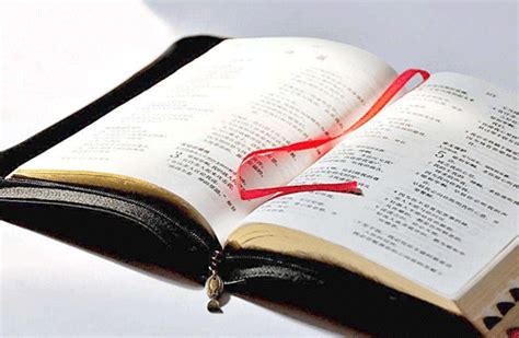 圣经纸_产品中心_北京美林时代纸业有限公司