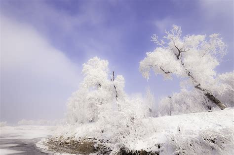 吉林风景图片大全,吉林市雾凇图片,吉林风景最美的地方_大山谷图库