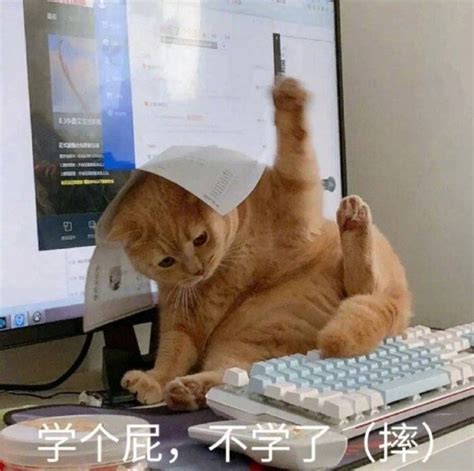 我回来了表情包图片