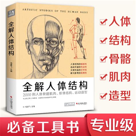 2020新书全解人体结构艺用解剖学工具书素描书籍美术绘画_虎窝淘