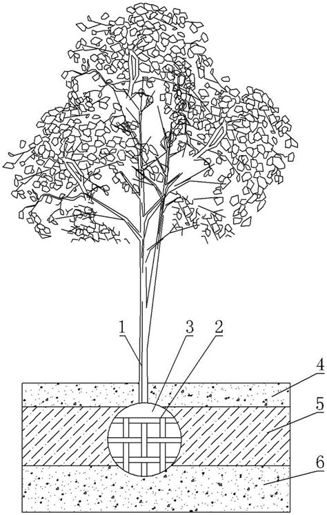 一种树木的假植结构的制作方法