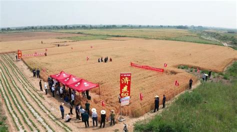 中国农垦品牌目录——垦区（集团）公共品牌