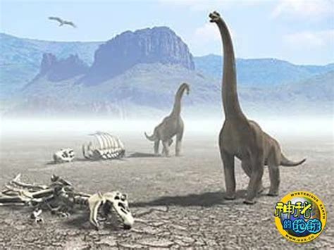 恐龙灭绝新证据：陨石撞击前已大面积死亡 - 微文周刊