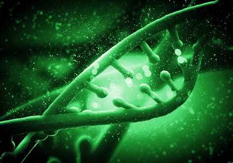 万人汉族女性全基因组测序成为世界最大种族基因资源 | Thermo赛默飞官网