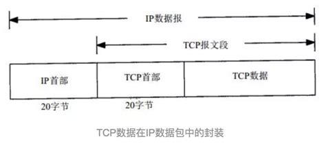 TCP/IP 协议——详解篇 - 知乎
