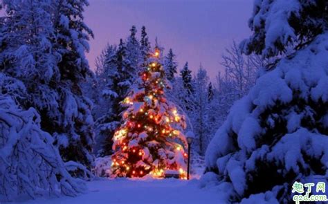 冬季装扮中孩子在圣诞树附近玩雪球蓝色的圣高清图片下载-正版图片506716218-摄图网