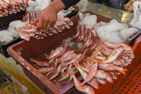 “食在广州”鱼为先，一张鱼票吃出市场经济“大活鱼”_南方网