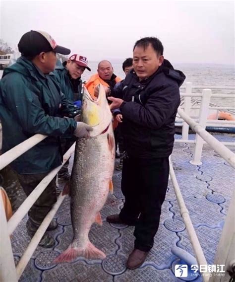 湖南水库曾现“水老虎”，万条大鱼被吃光，抽干水后抓到真凶