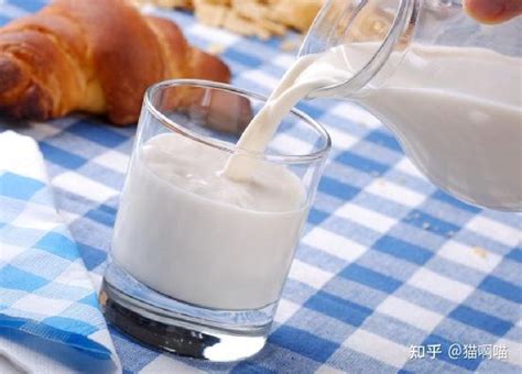 每日一杯鲜羊奶，健康每一天…… - 瑞康乳业