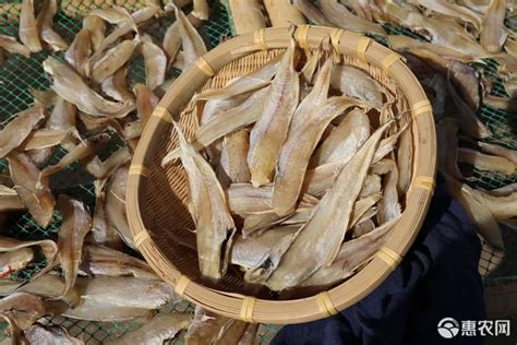 [鱼干批发]深海油条鱼干 尤条鱼 牛尾鱼海鲜干货价格420元/箱 - 惠农网