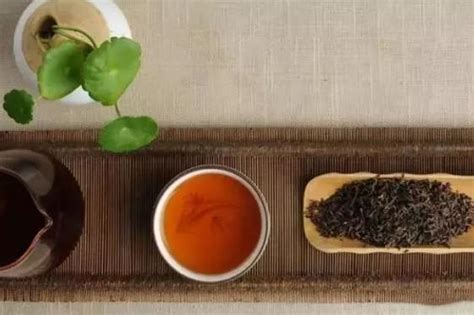 黑茶青茶菊花茶是什么梗-黑茶青茶菊花茶梗相关介绍-优基地