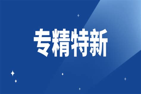 方天软件荣获广东省“专精特新”企业认定_方天软件