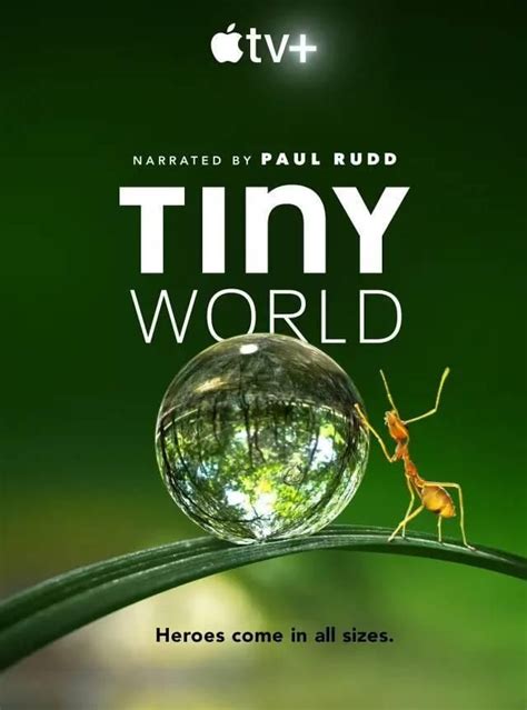 豆瓣9.5高分!这套精彩震撼的自然纪录片《小小世界》推荐给孩子|小小世界|纪录片|配乐_新浪新闻