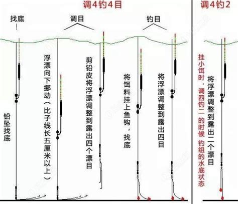 钓鱼调漂的正确方法 钓鱼调漂正确技巧 - 钓鱼之家