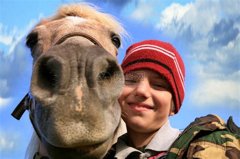 小马驹和马图片-野外的马和小马驹素材-高清图片-摄影照片-寻图免费打包下载