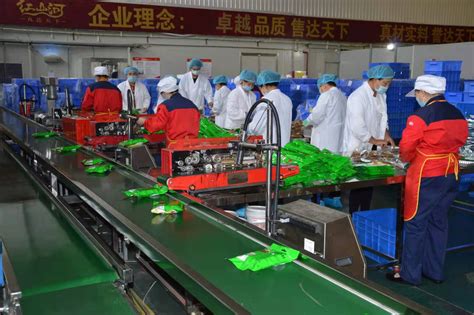 利通区推动绿色食品工业全产业链融合发展-宁夏新闻网