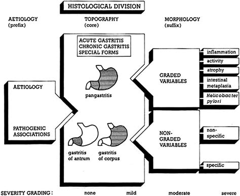 The Sydney System for classification of gastritis 20 years ago - Sipponen - 2011 - Journal of ...