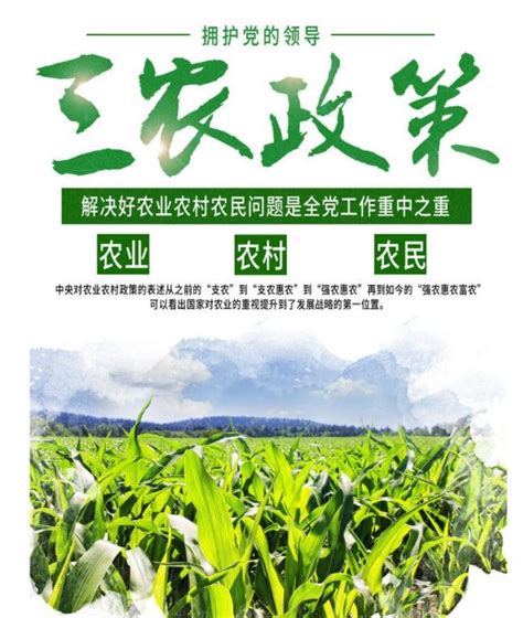庆城县扶持农民科学种植中药材 增加农民经济收入-健康养生-国医小镇