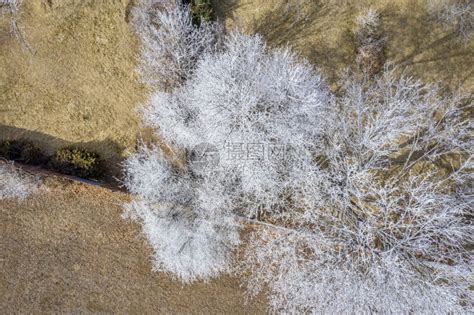 冬季树冷冻树梢气候天气树木树干植被森林雾凇生活高清图片下载-正版图片321525277-摄图网