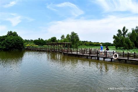 2021金银湖湿地公园-旅游攻略-门票-地址-问答-游记点评，武汉旅游旅游景点推荐-去哪儿攻略