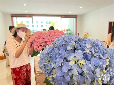开屏新闻-晋宁区现代花卉产业园国际花卉综合物流中心招商，7月1日举行首次花卉拍卖