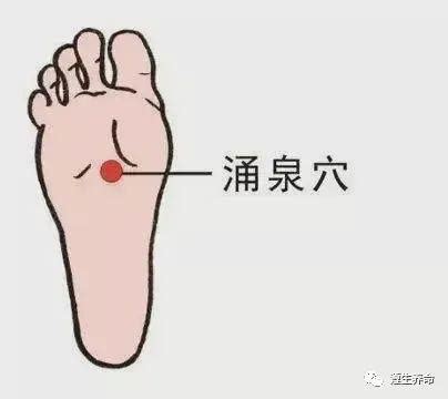 涌泉穴位置图图片