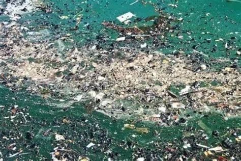 触目惊心！美国附近的太平洋垃圾岛已有三个法国那么大|界面新闻 · 天下