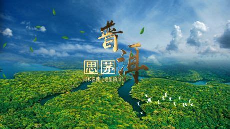 云南思茅：一片有机茶 串起绿色发展产业链_国内_黑龙江网络广播电视台