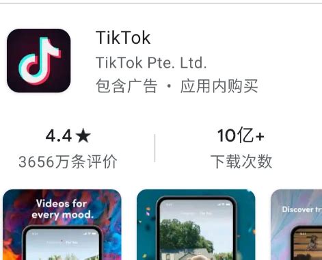 苹果商店为什么找不到tiktok，苹果手机下载tiktok的教程 - TikTok培训