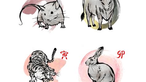 十二生肖运动会简笔画(动物运动会简笔画大全) - 抖兔教育