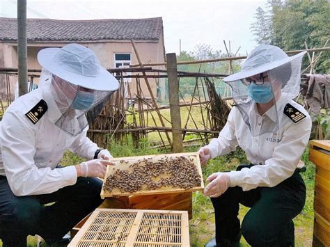 中国畜牧业协会蜂业分会会长许正鼎一行赴广西梧州甜蜜家蜂业有限公司开展蜂业调研工作