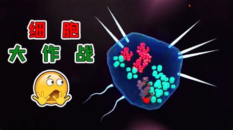 细胞大作战 籽岷 孢子2.0_腾讯视频