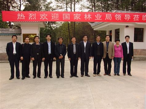 中国林业科学研究院林业研究所设计以圆徽的形式体现权威性，中间以CAF简称与大树相结合_空灵LOGO设计公司